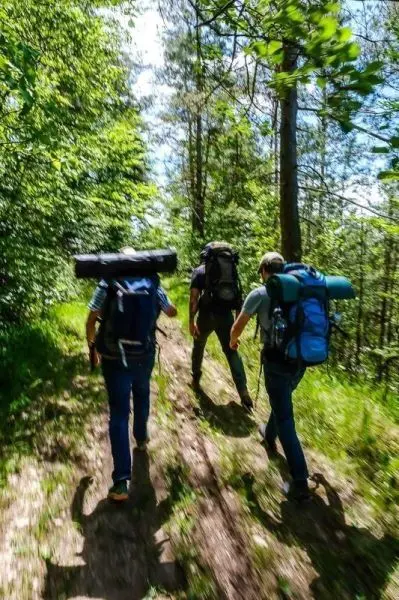 Drei Wanderer mit Rucksäcken gehen einen schmalen Pfad im Wald entlang